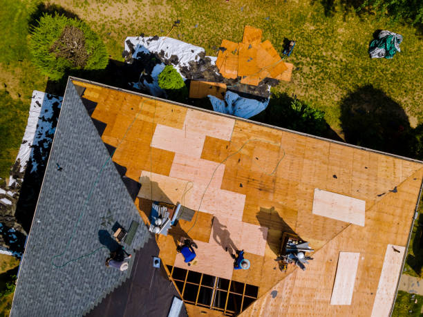 Quick and Trustworthy Emergency Roof Repair Services in Apison, TN