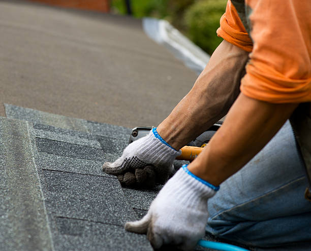 Roof Repair Estimates in Apison, TN
